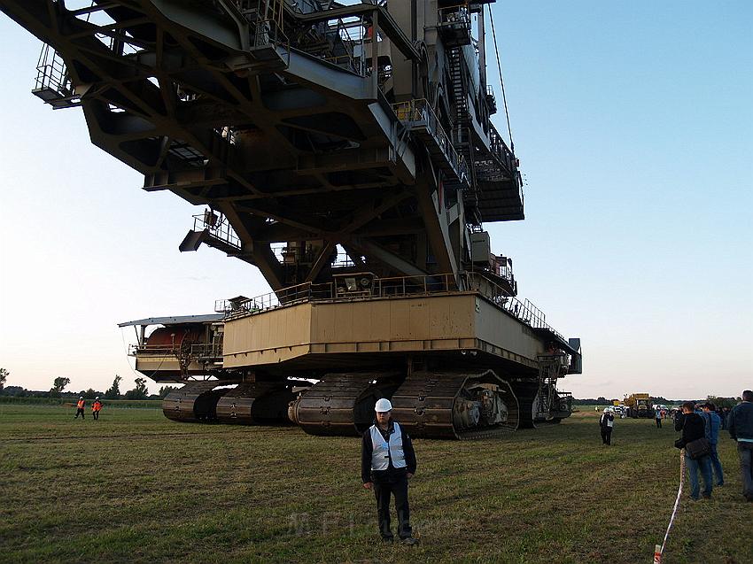 Bagger auf Reisen P226.JPG